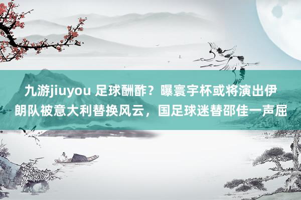 九游jiuyou 足球酬酢？曝寰宇杯或将演出伊朗队被意大利替换风云，国足球迷替邵佳一声屈