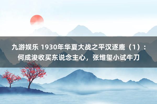 九游娱乐 1930年华夏大战之平汉逐鹿（1）：何成浚收买东说念主心，张维玺小试牛刀