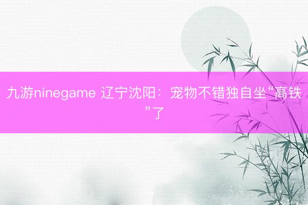 九游ninegame 辽宁沈阳：宠物不错独自坐“高铁”了
